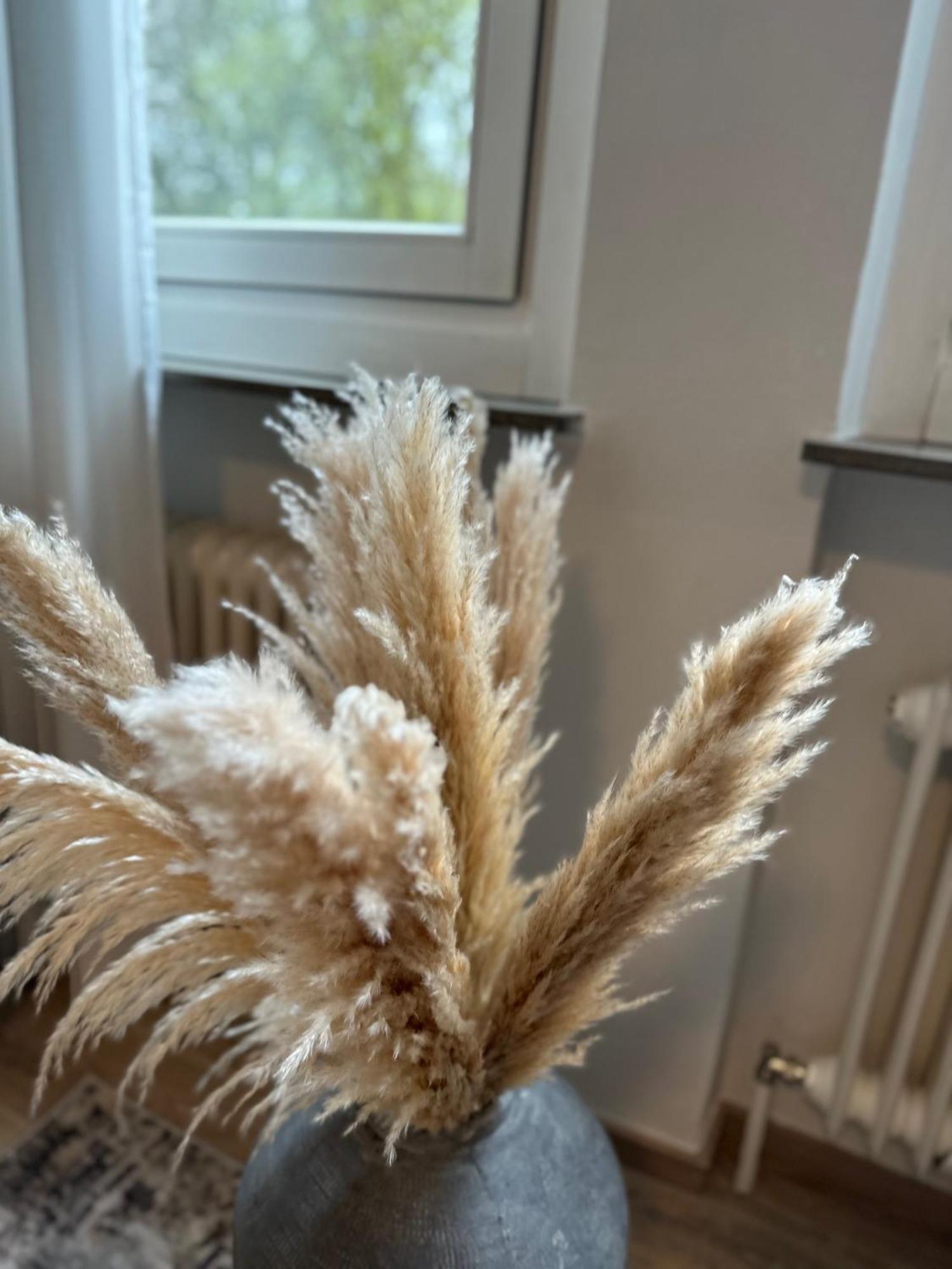 Appartement Cityappartluxe Am Hofgarten - Zwischen Uni Und Stadt-zentrum Bayreuth